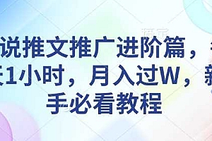 小说推文推广进阶篇,每天1小时,月入过W,新手必看教程