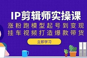 IP剪辑师实操课:涨粉跑模型起号到变现,挂车视频打造爆款带货