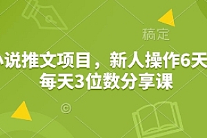 小说推文项目,新人操作6天,每天3位数分享课