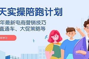 (14008期)淘天实操陪跑计划,2024年最新电商营销技巧,包括直通车、大促策略等
