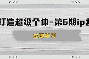 (14014期)打造 超级个体-第6期ip营:商业认知,产品设计,成交演练,解决知识变现难题