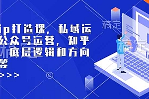 个人ip打造课,私域运营,公众号运营,知乎运营,底层逻辑和方向定位等