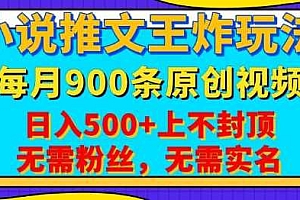 小说推文王炸玩法,一键代发,每月最多领900条原创视频,播放量收益日入5张,无需粉丝,无需实名【揭秘】