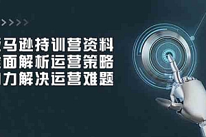 亚马逊持训营资料,全面解析运营策略,助力解决运营难题