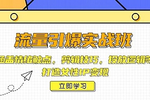 流量引爆实战班,涵盖情绪触点,剪辑技巧,投放逻辑等,打造女性IP变现