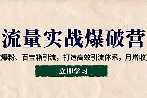 (14039期)流量实战爆破营:企微爆粉、百宝箱引流,打造高效引流体系,月增收万元