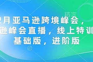 12月亚马逊跨境峰会, 亚马逊峰会直播,线上特训营基础版,进阶版