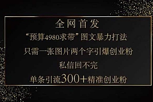 小红书神奇图片引流法,只需一张图,就能单条笔记凭借此方法,轻松引流 300 + 精准创业粉