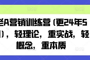 老A营销训练营(更25年1月),轻理论,重实战,轻概念,重本质