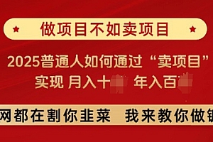必看,做项目不如卖项目,2025普通人如何通过“卖项目”实现月入十个,年入百个