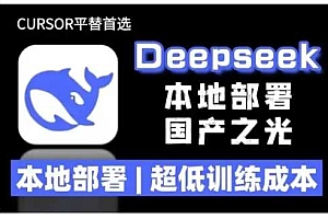 2025年deepseek R1 大型模型本地安装部署(文件+教程)本地部署,超低训练成本