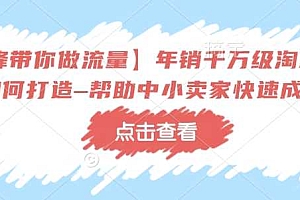 【冷锋带你做流量】年销千万级淘系商家如何打造–帮助中小卖家快速成长