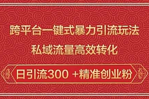 跨平台一键式暴力引流玩法,私域流量高效转化日引流300 +精准创业粉