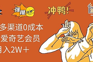 (14118期)2025多渠道0成本售卖爱奇艺会员月入2W+