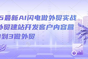 2025最新AI闪电做外贸实战课,外贸建站开发客户内容营销从0到3做外贸
