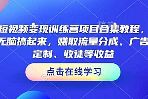 AI短视频变现训练营项目合集教程,直接无脑搞起来,赚取流量分成、广告、定制、收徒等收益