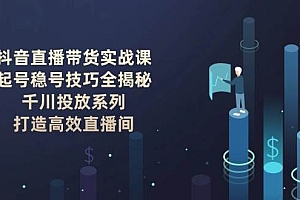 抖音直播带货实战课:起号稳号技巧全揭秘, 千川投放系列, 打造高效直播间