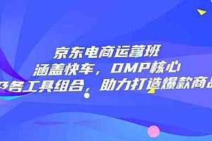 京东电商运营班:涵盖快车,DMP核心及各工具组合,助力打造爆款商品
