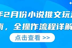 25年2月份小说推文玩法指南,全操作流程详解