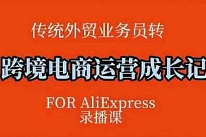 跨境电商速卖通运营课,运营方法论+后台实操,逻辑清晰