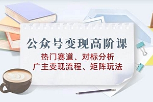 (14177期)公众号变现高阶课:热门赛道、对标分析、广告主变现流程、矩阵玩法