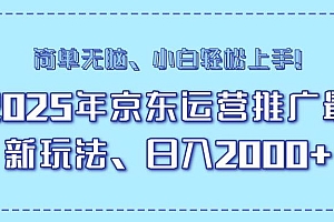 (14179期)25年京东运营推广最新玩法,日入2000+,小白轻松上手!