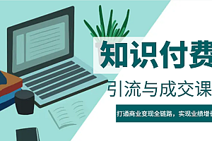 IP合伙人知识付费虚拟项目,引流与成交课程,打通商业变现全链路,实现业绩增长!