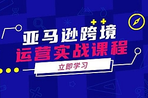 (14188期)亚马逊跨境运营实战课程:涵盖亚马逊运营、申诉、选品等多个方面