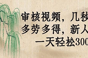 (14202期)审核视频,几秒一单,多劳多得,新人小白一天轻松300+