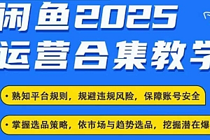 2025闲鱼电商运营全集,2025最新咸鱼玩法