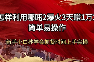 (14245期)怎样利用哪吒2爆火3天赚1万2简单易操作新手小白秒学会抓紧时间上手实操
