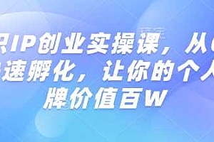 知识IP创业实操课,从0到1快速孵化,让你的个人品牌价值百W
