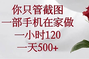 (14248期)你只管截图,一部手机在家做,一小时120,一天500+