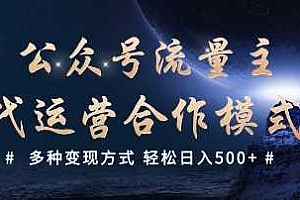 公众号流量主代运营  多种变现方式 轻松日入5张【揭秘】