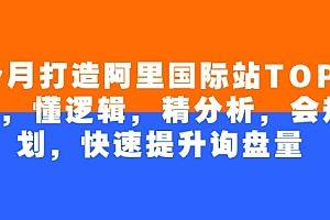 4个月打造阿里国际站TOP店铺,懂逻辑,精分析,会规划,快速提升询盘量
