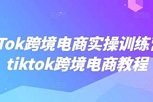 TikTok跨境电商实操训练营,tiktok跨境电商教程