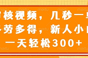 (14294期)审核视频,几秒一单,多劳多得,新人小白一天轻松300+