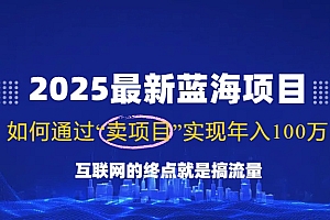 (14305期)2025最新蓝海项目,零门槛轻松复制,月入10万+,新手也能操作!
