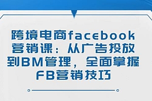(14314期)跨境电商facebook营销课:从广告投放到BM管理,全面掌握FB营销技巧