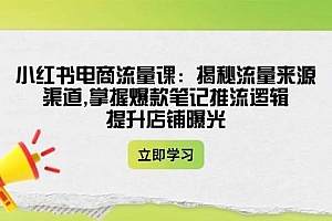 小红书电商流量课:揭秘流量来源渠道,掌握爆款笔记推流逻辑,提升店铺曝光