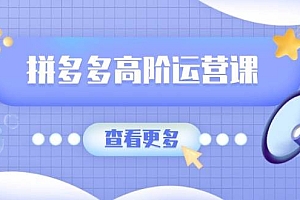(14327期)拼多多高阶运营课:极致群爆款玩法,轻付费无尽复制,打造单品爆款之路