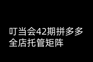 叮当会拼多多打爆班原创高阶技术第42期,拼多多全店托管矩阵