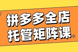 (14328期)拼多多全店托管矩阵课,盈利动销玩法,高效计划设置,提升店铺效益