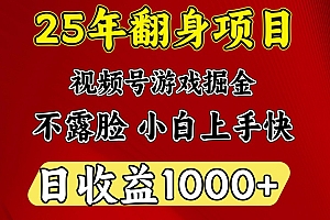 一天收益1000+ 25年开年落地好项目