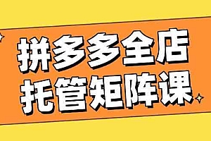 拼多多全店托管矩阵课,盈利动销玩法,高效计划设置,提升店铺效益