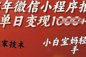 25年微信小程序推广单日变现多张,独家技术,小白宝妈轻松上手【揭秘】