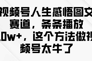 视频号人生感悟图文赛道,条条播放10w+,这个方法做视频号太牛了