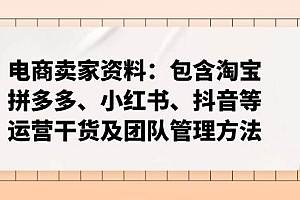 (14354期)电商卖家资料:包含淘宝、拼多多、小红书、抖音等运营干货及团队管理方法