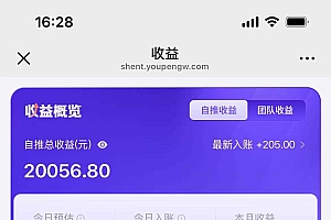用deepseek做即梦Ai拉新 小白实操月入过W+【附报白渠道】