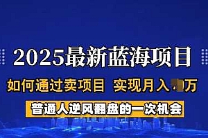 2025蓝海项目,普通人如何通过卖项目,实现月入过W,全过程【揭秘】